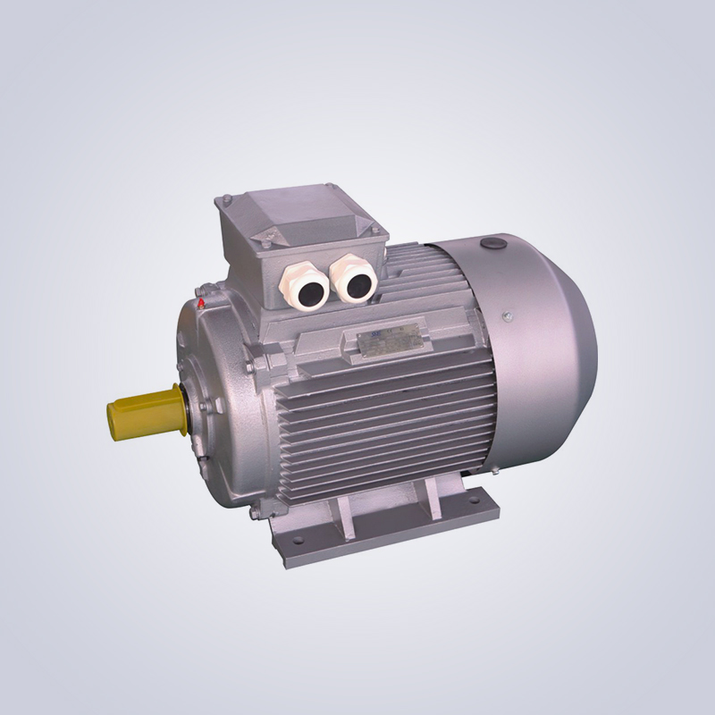 YE5 series primary energy efficiency low-voltage three-phase asynchronous motor