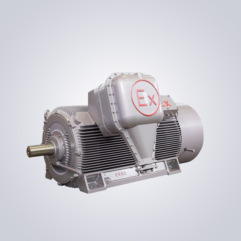 YBKS high-voltage explosion-proof three-phase asynchronous motor