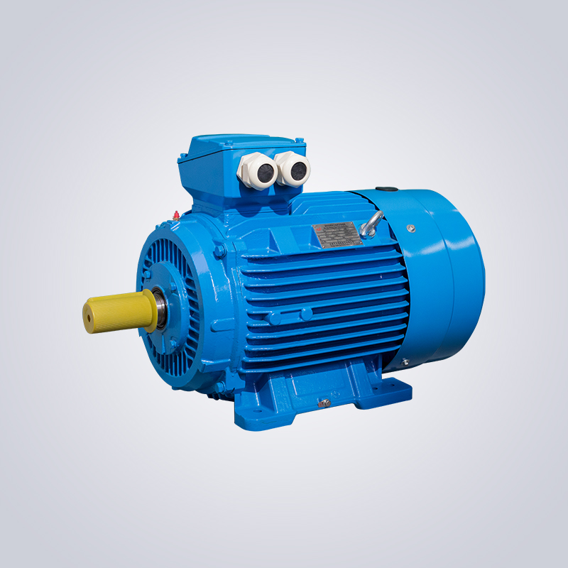 YE3P series three-level energy efficiency variable frequency speed control low-voltage three-phase asynchronous motor